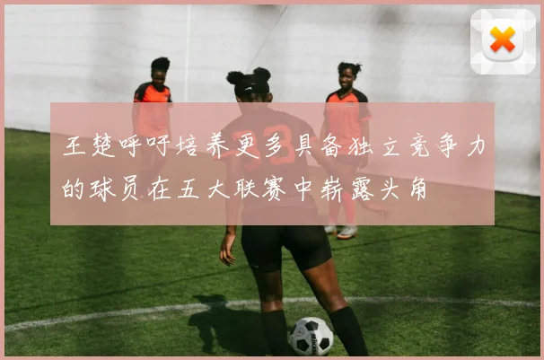 王楚呼吁培养更多具备独立竞争力的球员在五大联赛中崭露头角